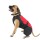 Pláštěnka Doggy Comfort BIG - červená 70 (XL)